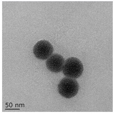 Nano-particle based on mesoporous silica loaded trifluorobenzene pyrimidine