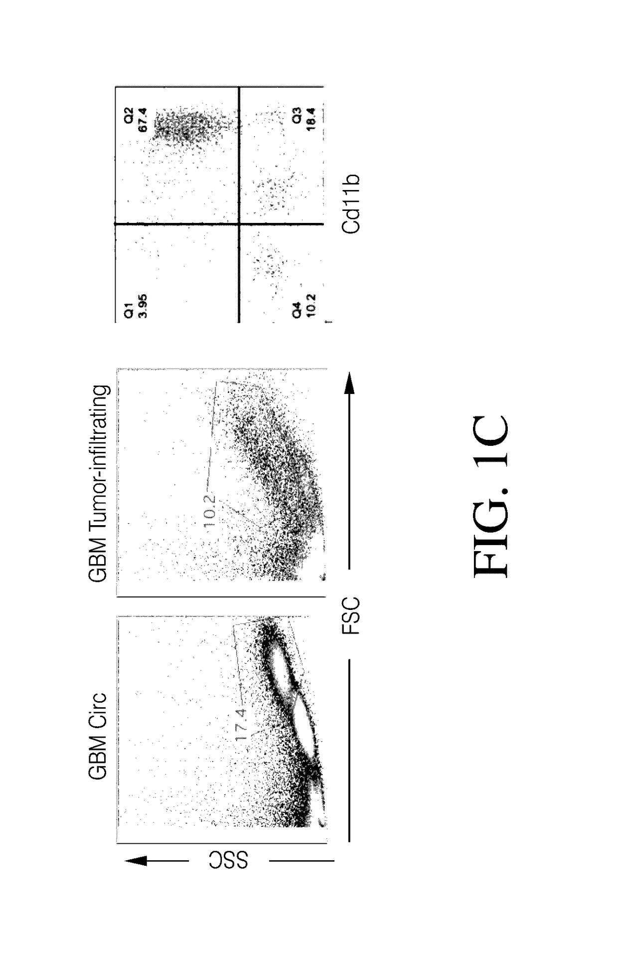 Genetic engineering of macrophages for immunotherapy