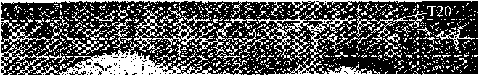 Method for selecting and rapidly comparing robust features of iris images