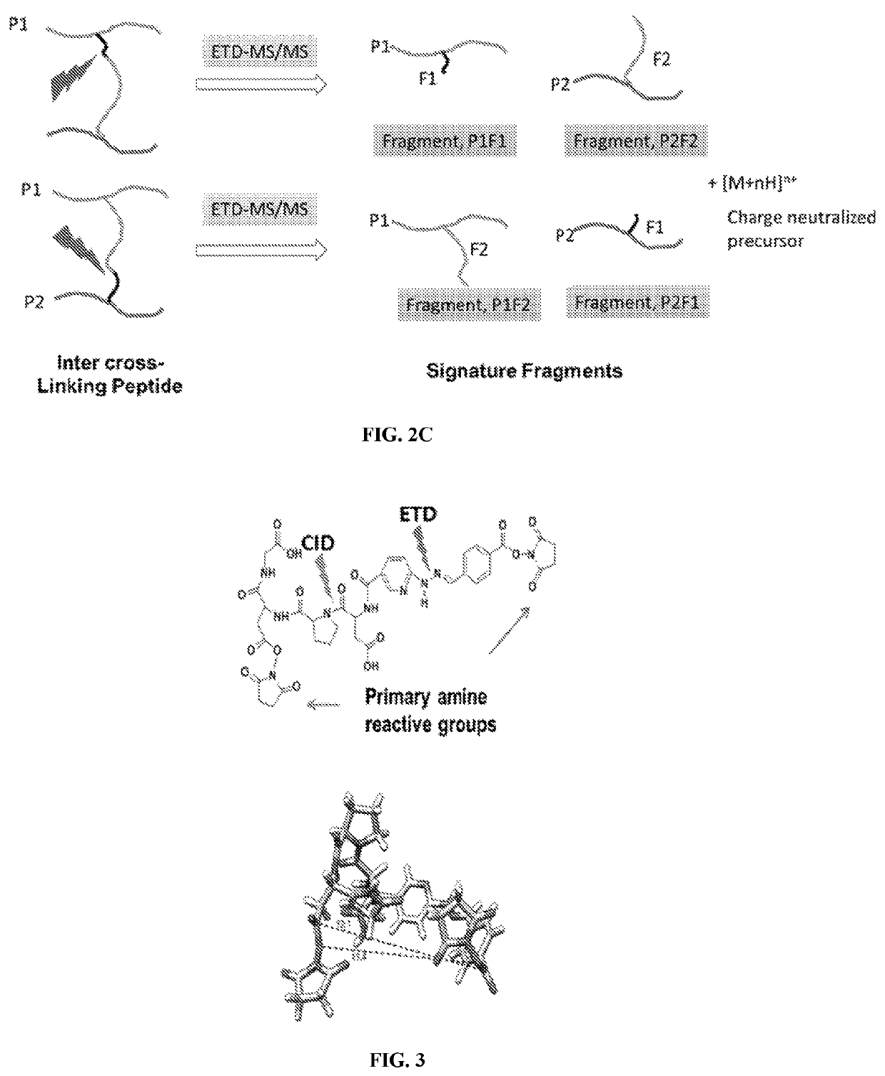Dual mass spectrometry-cleavable crosslinking reagents for protein-protein interactions