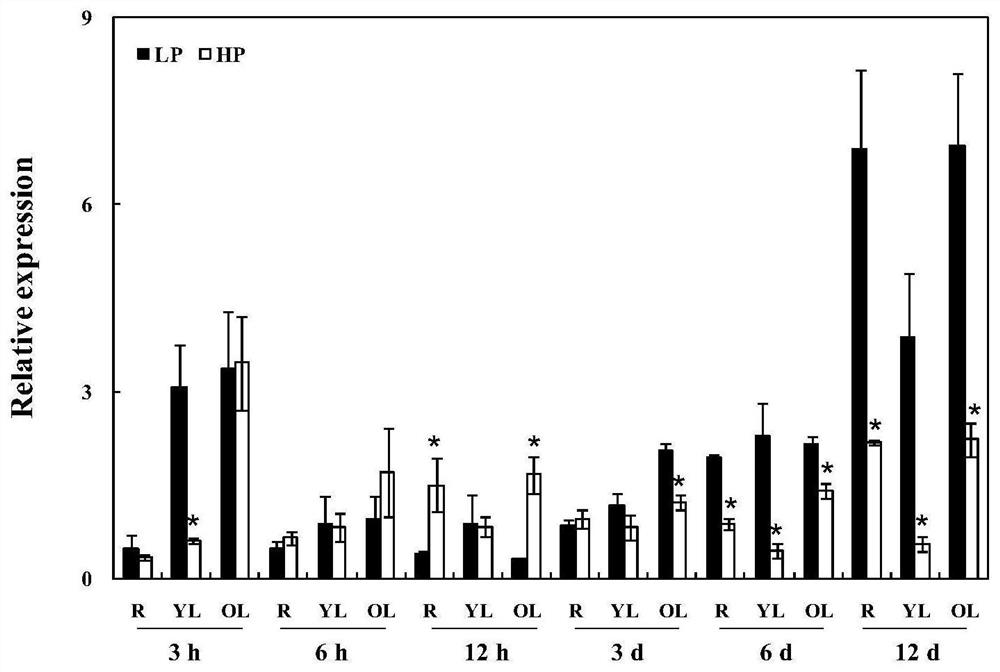 Application of Soybean Purple Acid Phosphatase Gene gmpap35