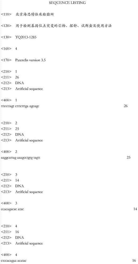 Primer, probe and kit for detecting gene locus mutation, and using methods