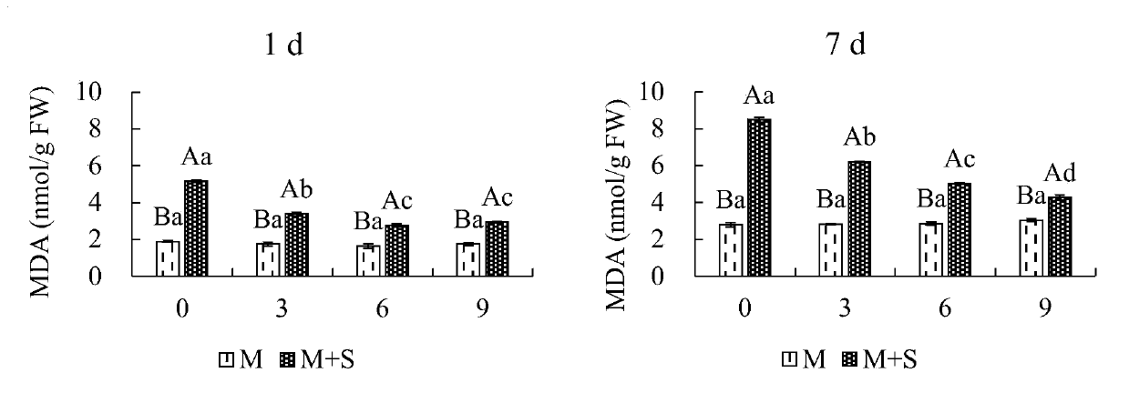 Application of exogenous melatonin to improvement of salt tolerance of beet seedlings