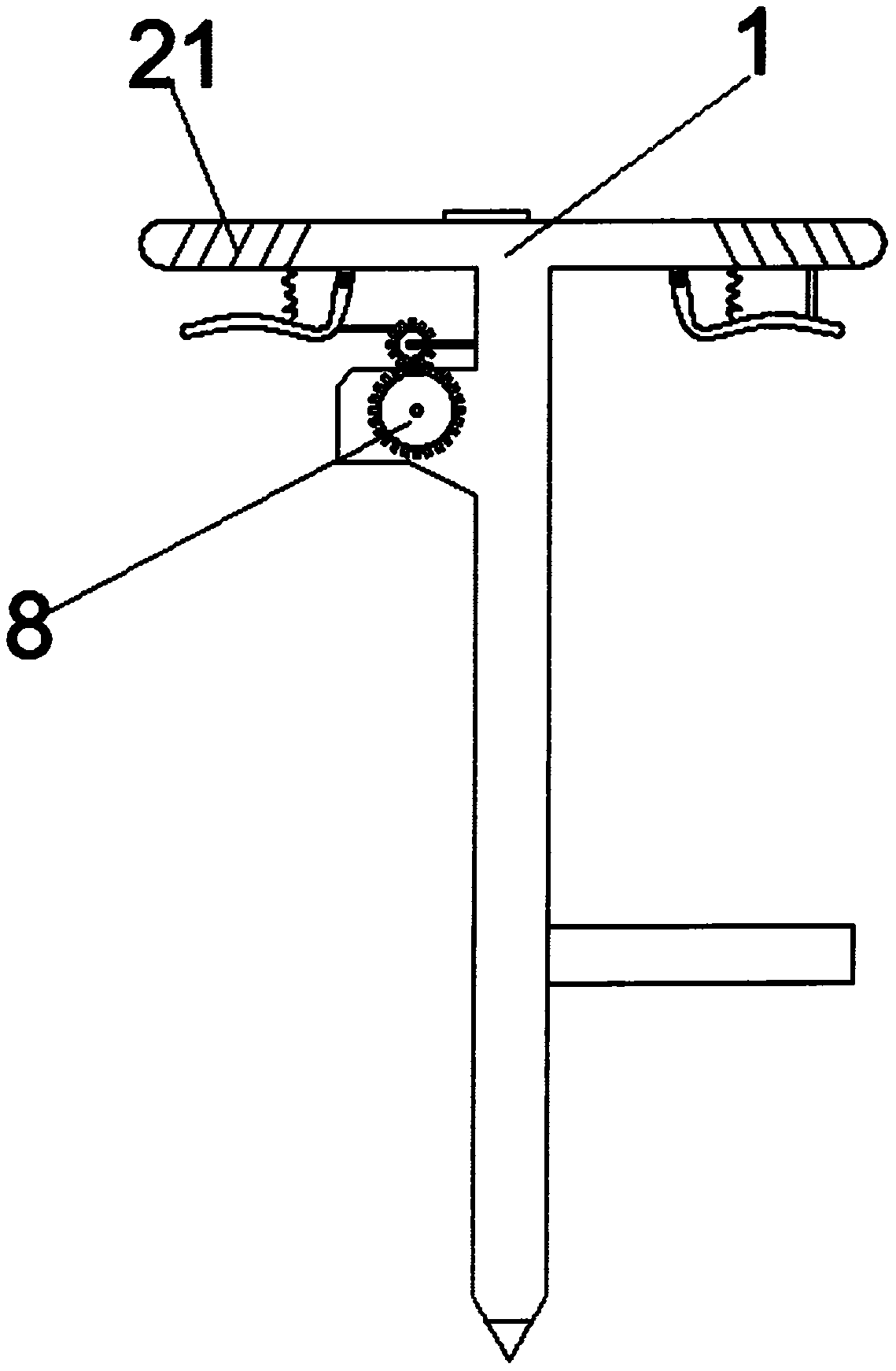 Organic vegetable planting device