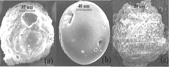 Preparation method of fly ash superbead magnetic composite material surface imprinting adsorbent