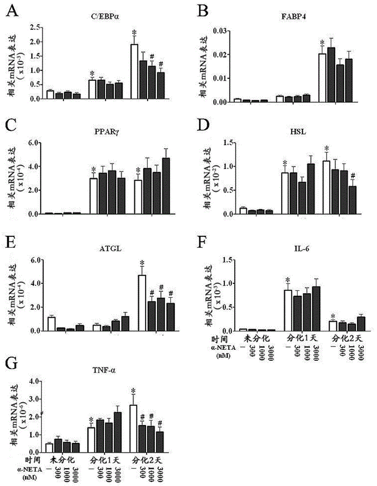 Application of CMKLR1 micromolecule antagonist to control obesity and obesity metabolic syndrome