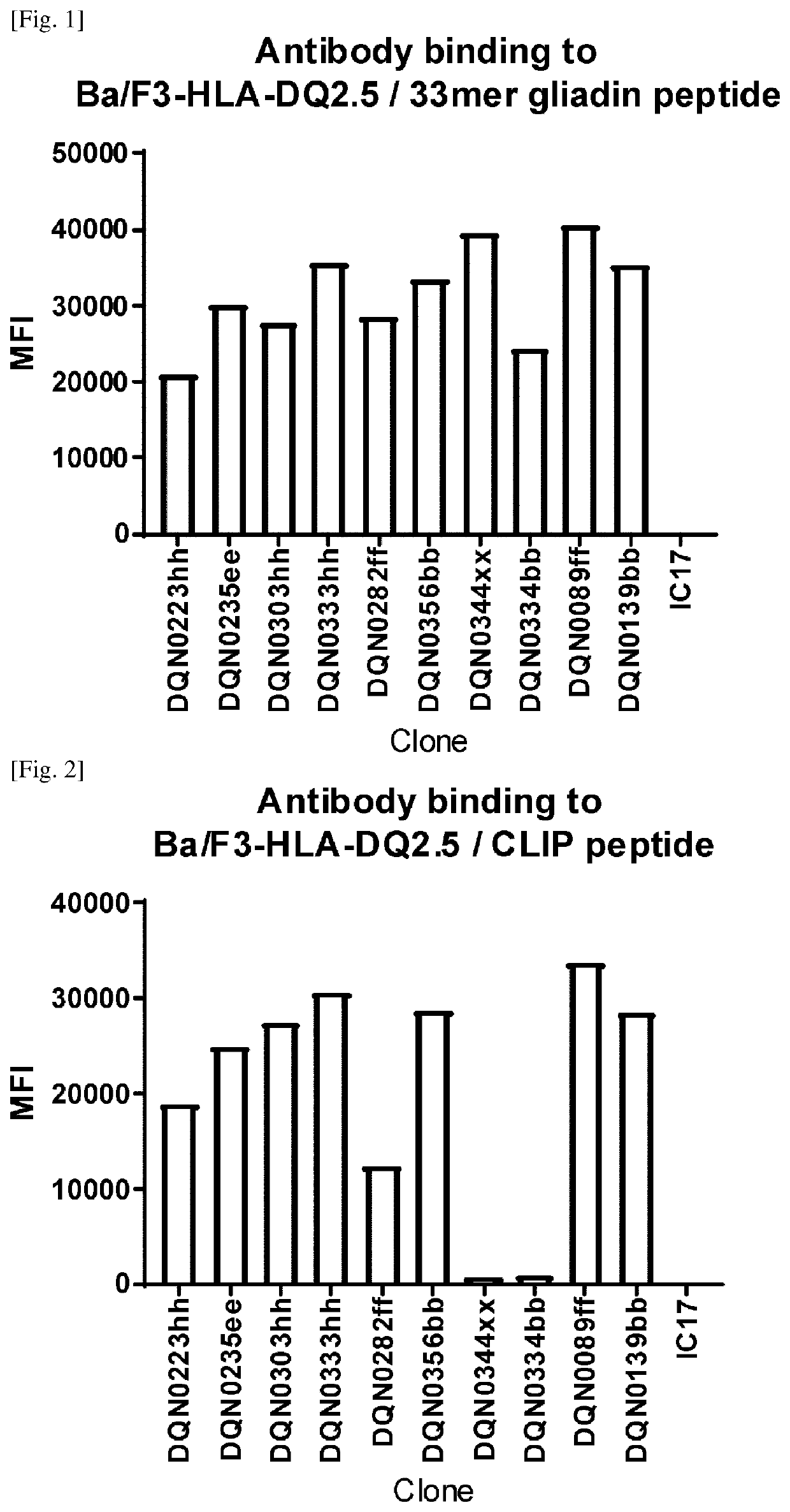 Anti-hla-dq2.5 antibody