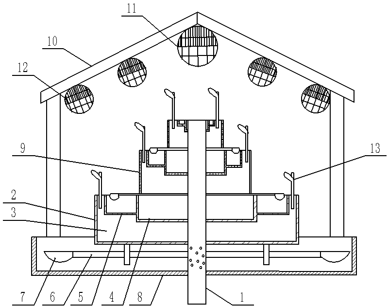 Dendrobium officinale cultivation method