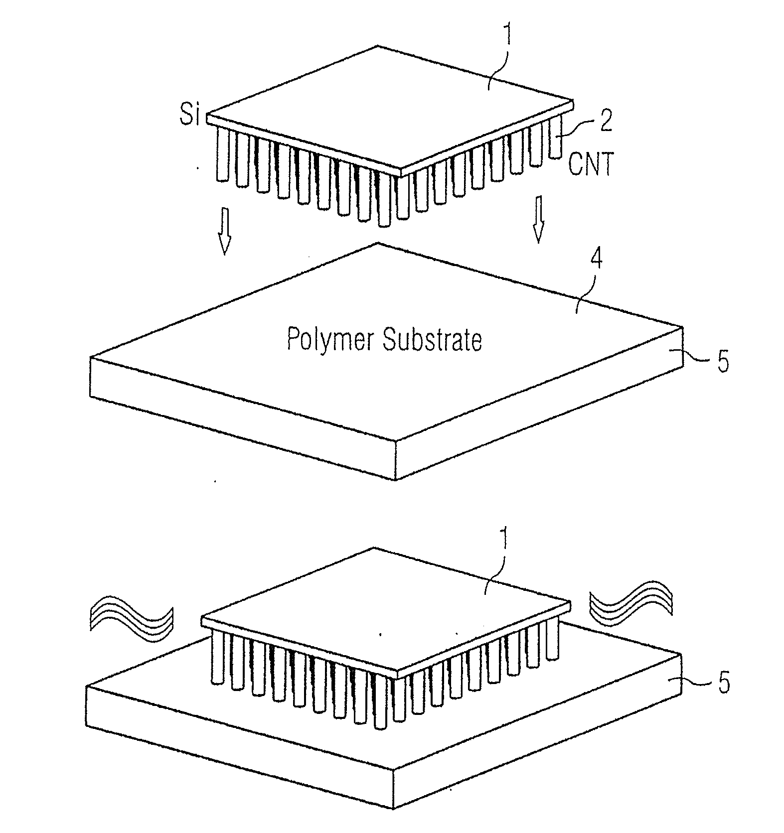 Substrate with carbon nanotubes, and method to transfer carbon nanotubes