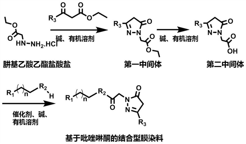 Pyrazolone-based glycoprotein-bound membrane dye as well as preparation method and application thereof