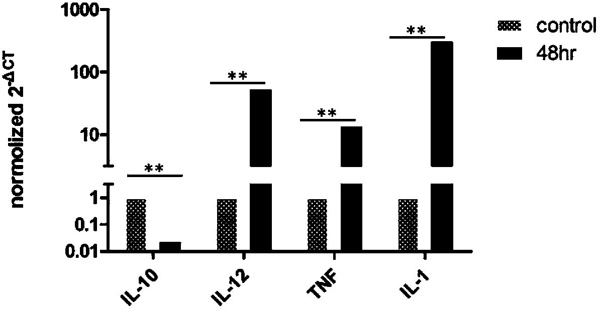 Application of yeast-origin glucan on preparation of drugs for curing hepatitis B virus infection