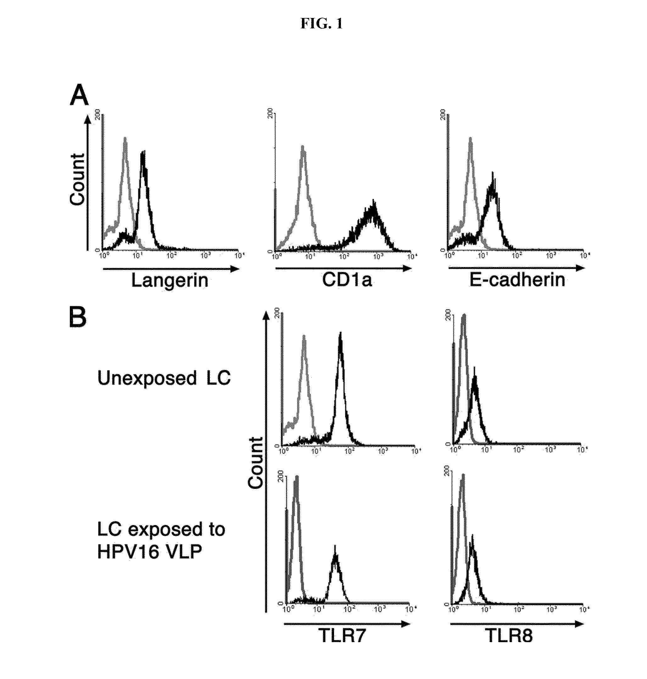 Methods and Compositions of Toll-Like Receptor (TLR) Agonists