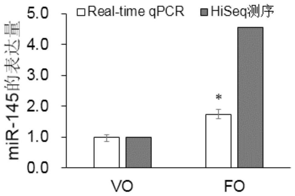 Application of mirna-sc-mir-145 in the synthesis of fish lc-pufa