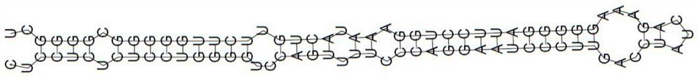 Application of mirna-sc-mir-145 in the synthesis of fish lc-pufa