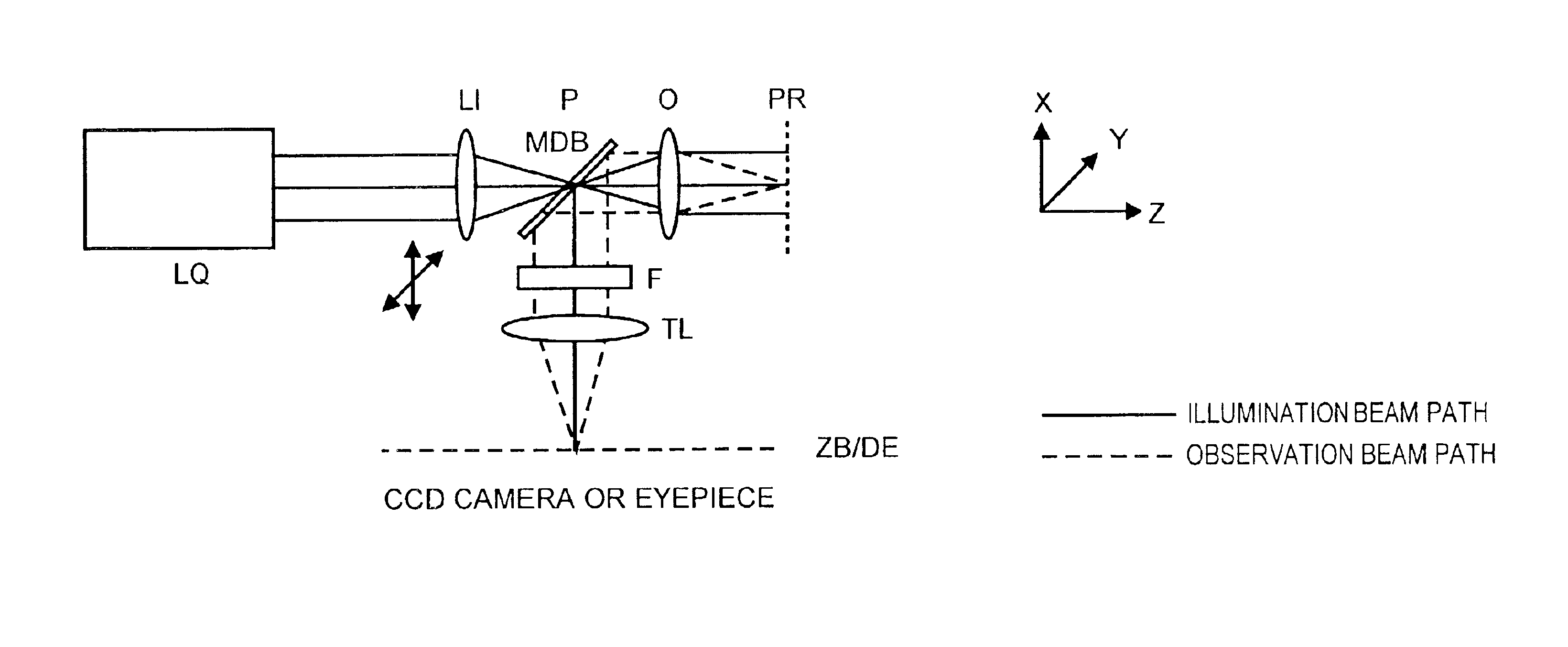Arrangement for the optical capture of excited and /or back scattered light beam in a sample