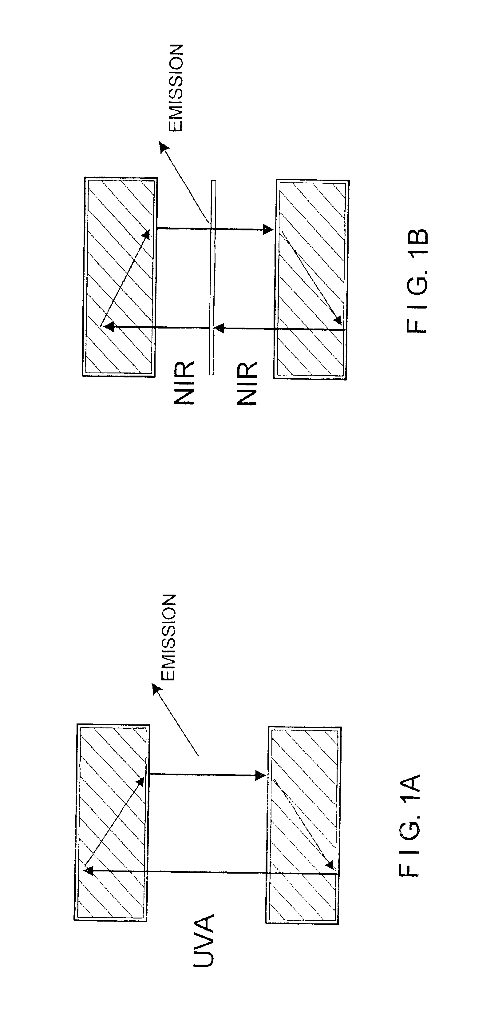 Arrangement for the optical capture of excited and /or back scattered light beam in a sample