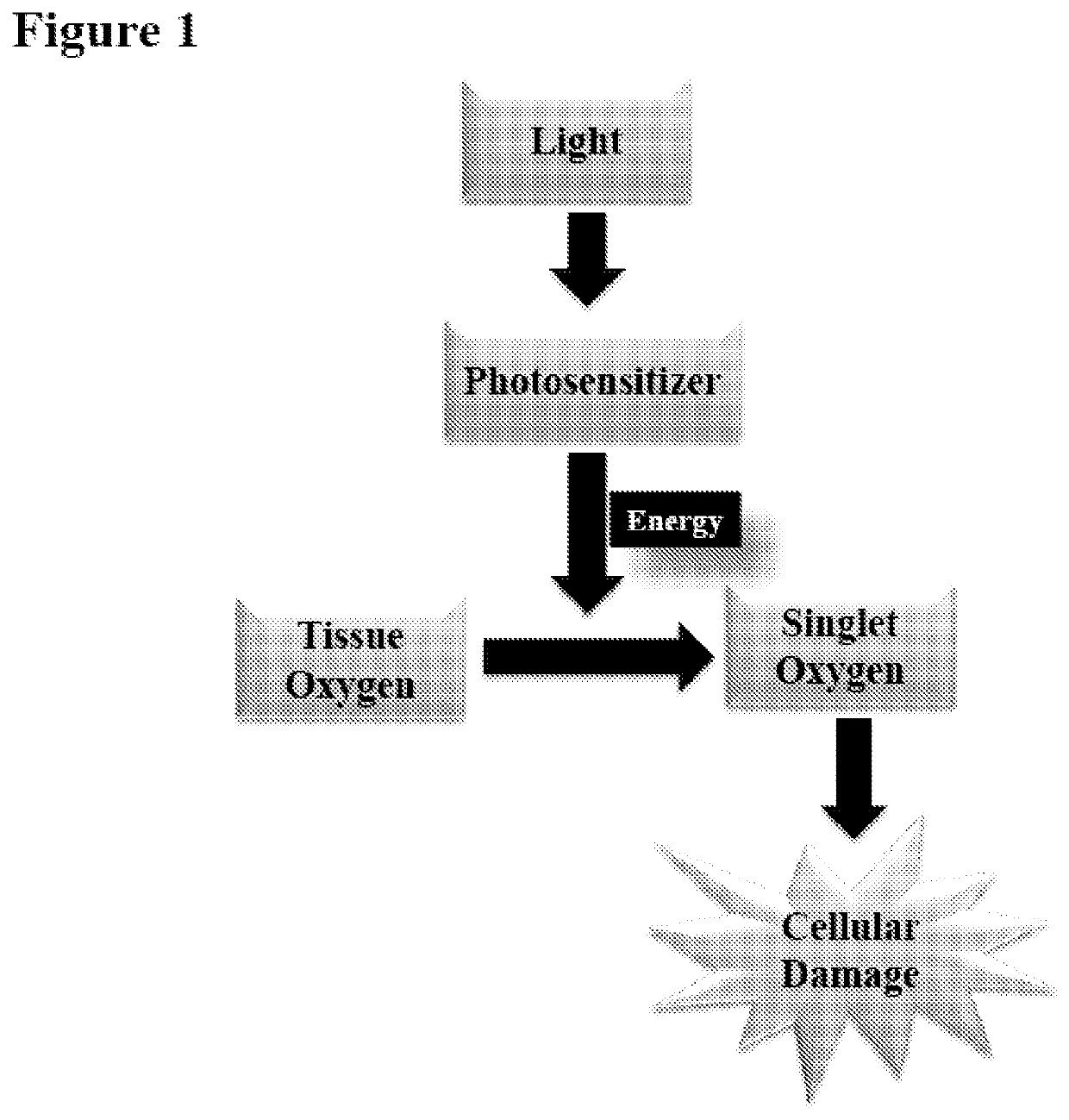 Systems and methods for targeted imaging and ablation of cardiac cells