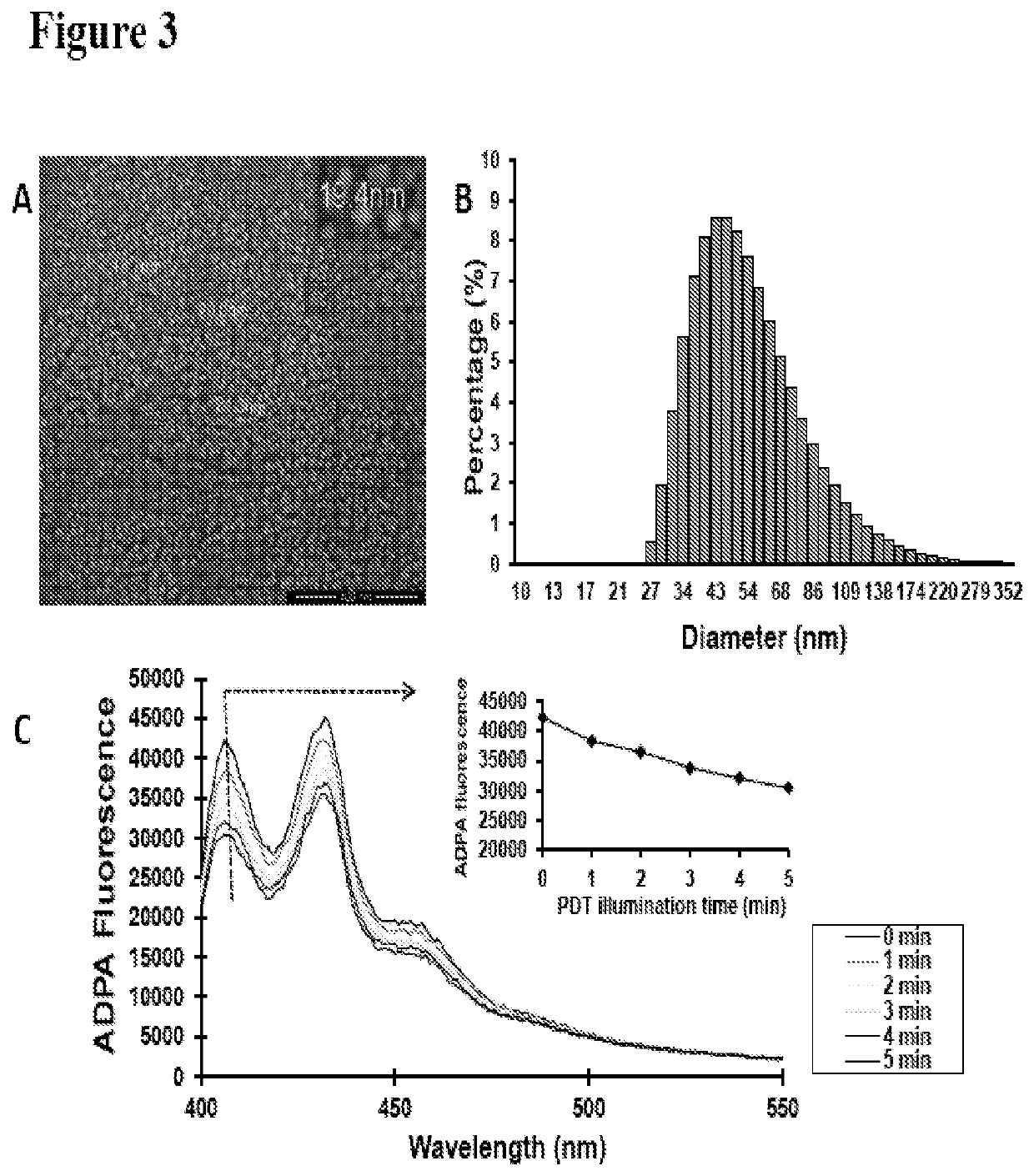 Systems and methods for targeted imaging and ablation of cardiac cells