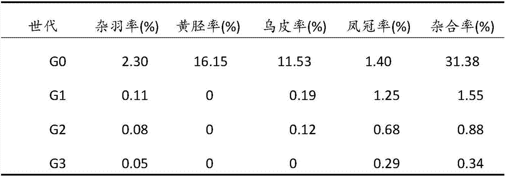Method of purification selection breeding of Pingwu red chicken