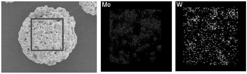 Preparation method of spherical tungsten-molybdenum alloy powder for 3D printing