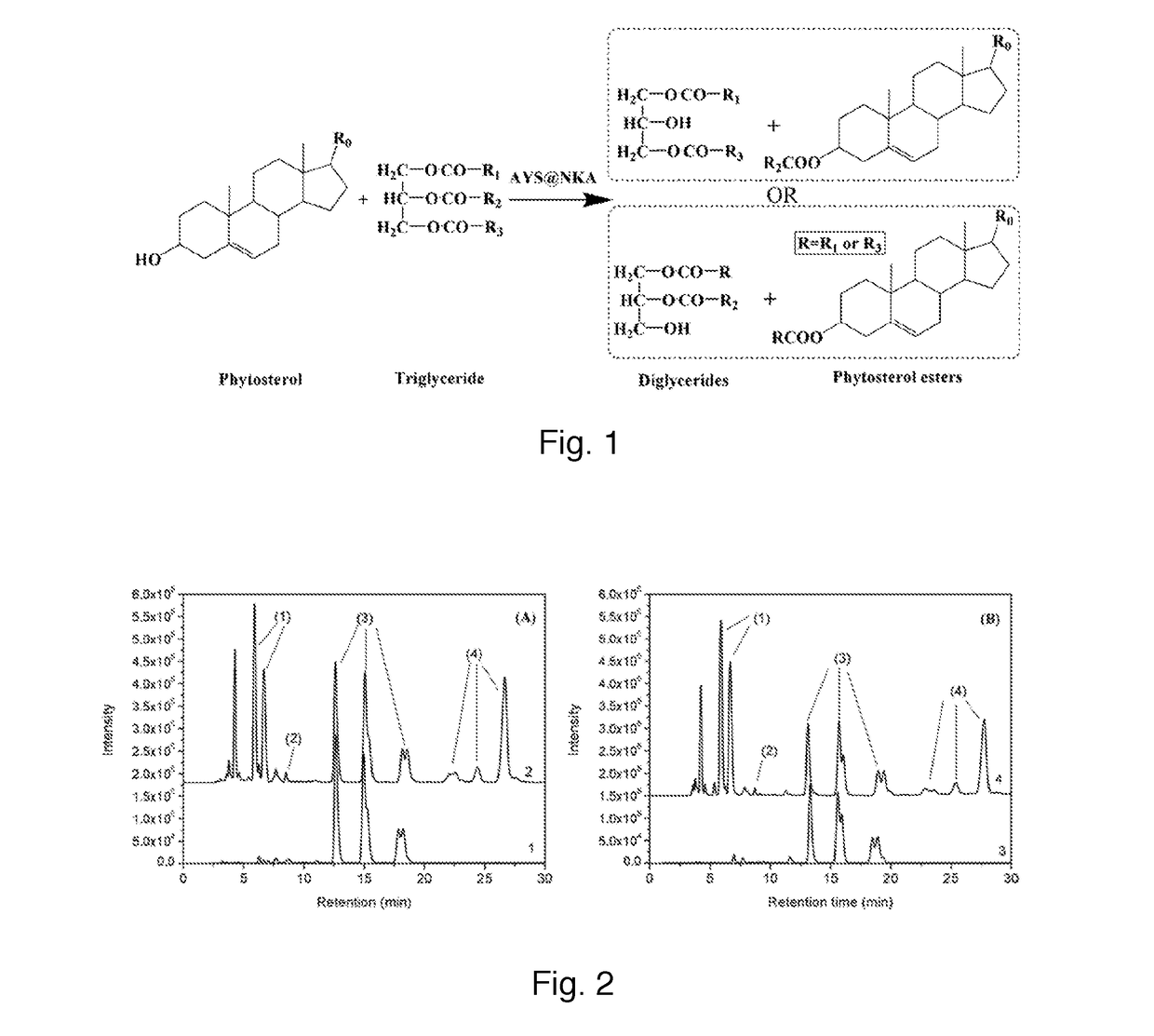 Method for preparing functional edible oil rich in phytosterol esters and diglycerides