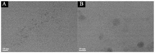 Preparation of carbon quantum dot fluorescent probe and application of carbon quantum dot fluorescent probe in selective detection of active oxygen