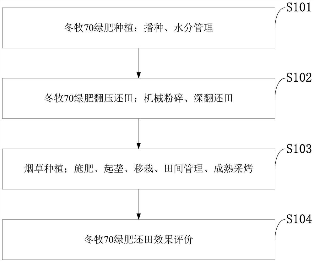 Method for Dongmu No.70 green manure plowing field-returning in northern cold tobacco growing area