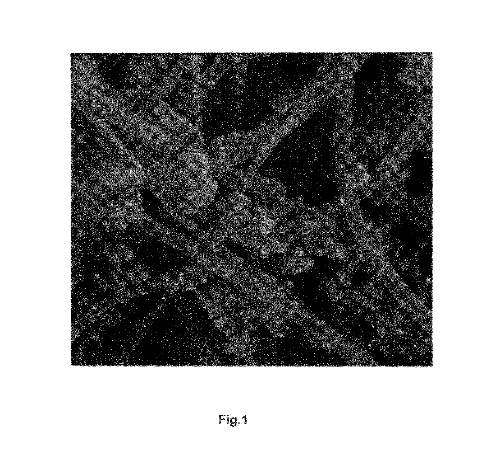 Non-woven polymeric fabric including agglomerates of aluminum hydroxide nano-fibers for filtering water
