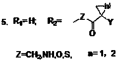 2,4-dihydroxy-5,6-substituted-1-halogenated benzene derivatives, their synthesis method and application