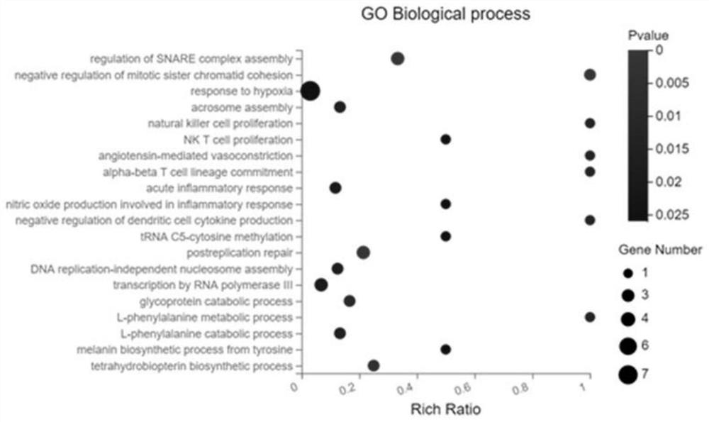 Application of plasma exosome in development of medicine for treating AAAD with lung injury