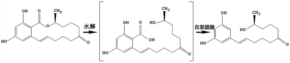 Lactonase and method for degrading alpha-zearalanel through lactonase