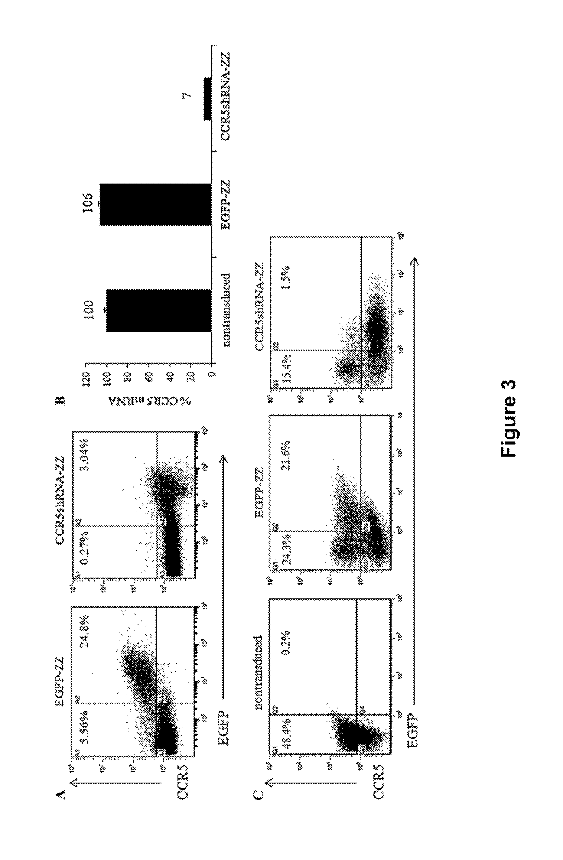 Combination Anti-hiv vectors, targeting vectors, and methods of use