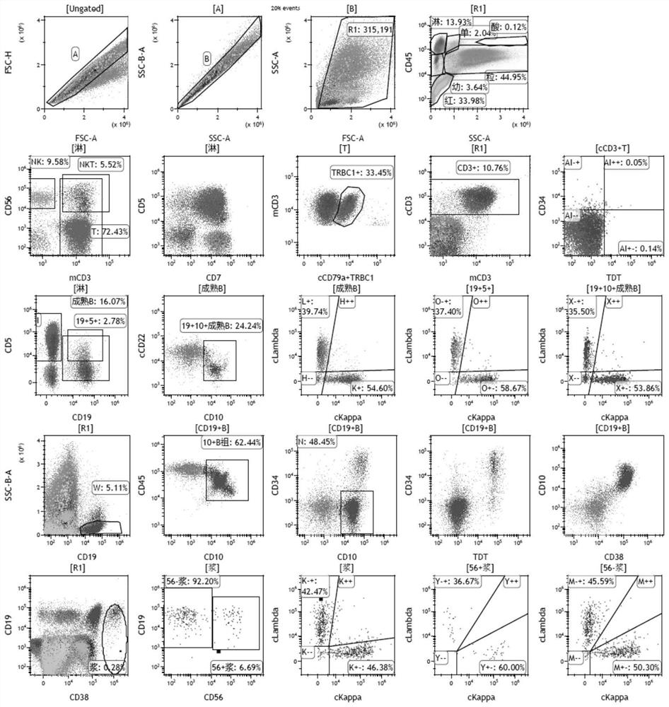 Antibody composition for leukemia/lymphoma immunotyping preliminary screening and application thereof