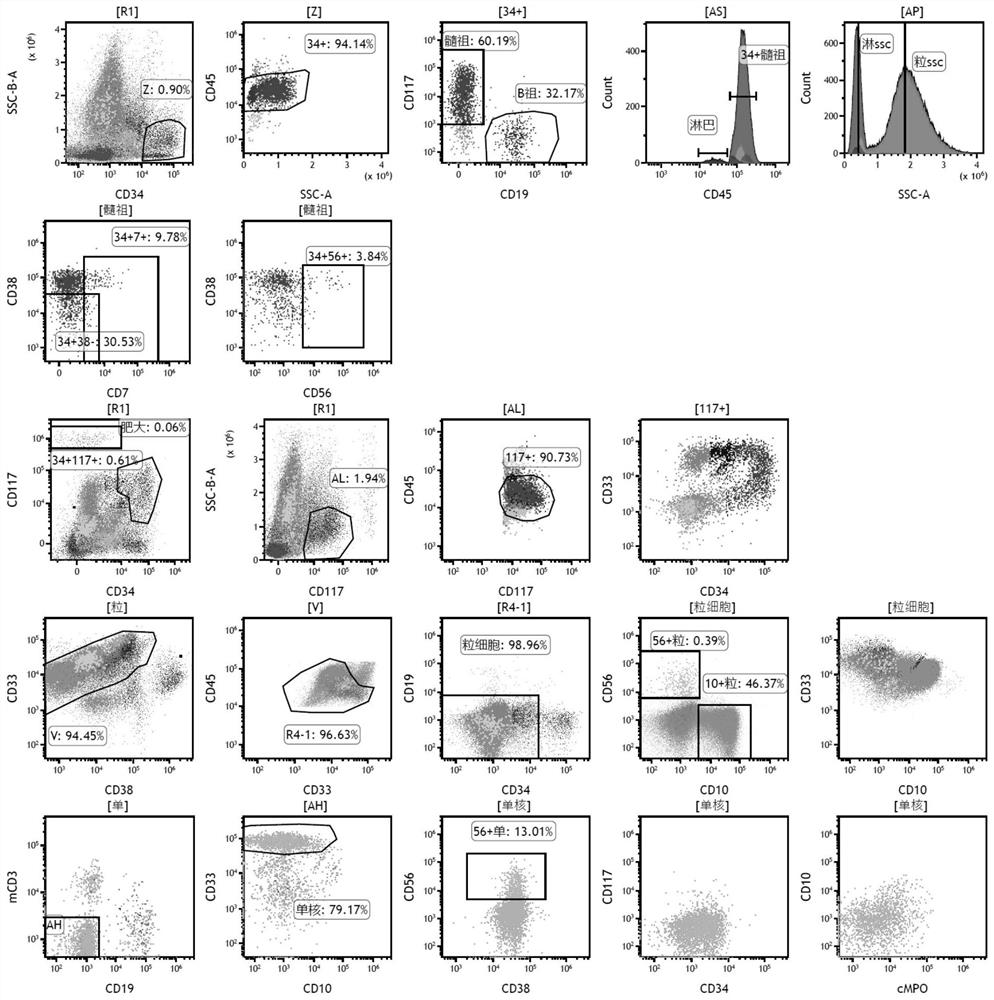 Antibody composition for leukemia/lymphoma immunotyping preliminary screening and application thereof