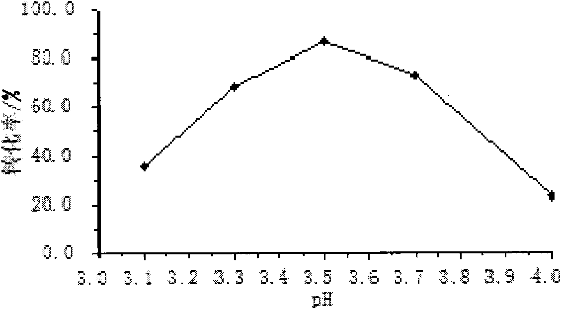 Escherichia coli strain for high yield of Gamma-aminobutyric acid and method for producing Gamma-aminobutyric acid therefrom