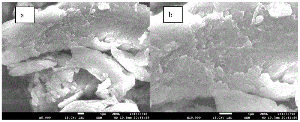 Fish bone charcoal adsorbent and preparation method and application thereof