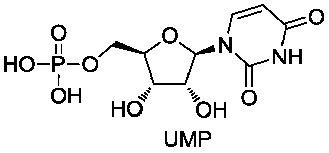 Method for preparing uridylic acid by enzyme method