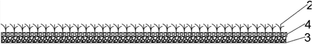 Scientific breeding pen for Kobe cattle