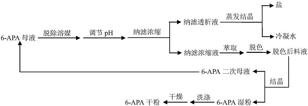 Process for recovering 6-APA and salt from 6-APA mother liquor
