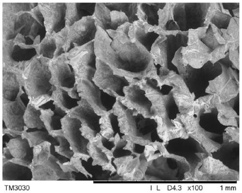 A kind of efficient oil-water separation chitosan sponge and preparation method thereof