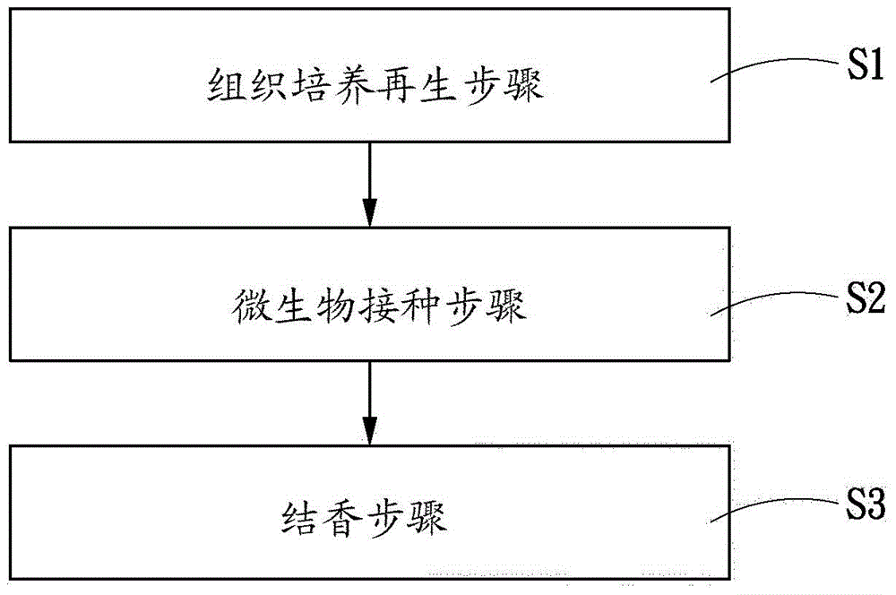 Method for preparing agilawood in tissue culture way