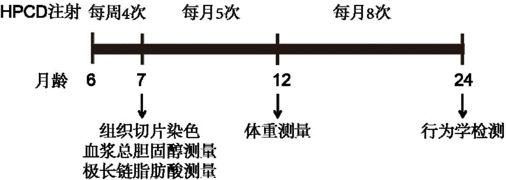 Application of 2-hydroxypropyl-beta-cyclodextrin to the preparation of drug for treatment of X-linked adrenoleukodystrophy