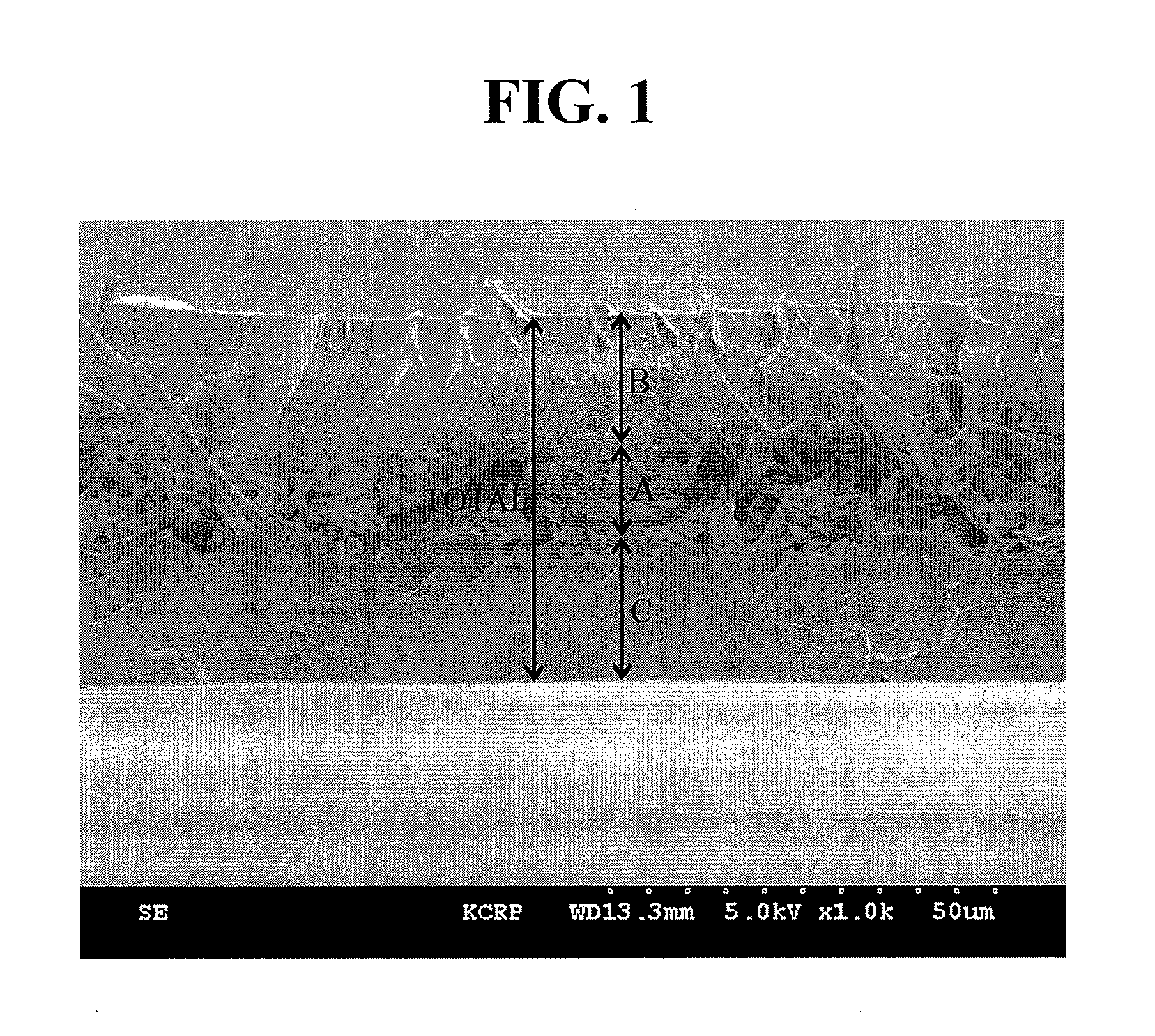 Polymer electrolyte membrane for a fuel cell, and method for preparing same