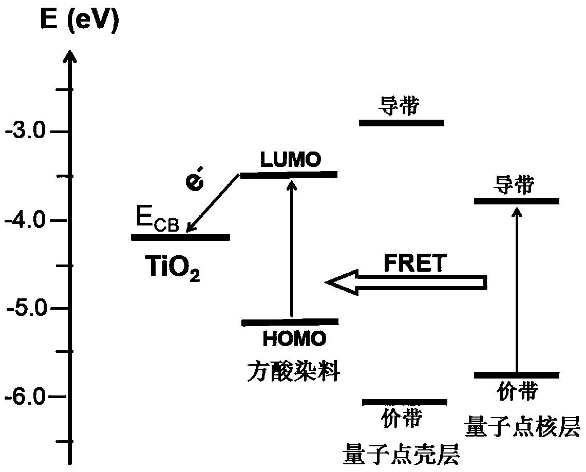 Fluorescence resonance energy transfer photoanode and preparation method thereof