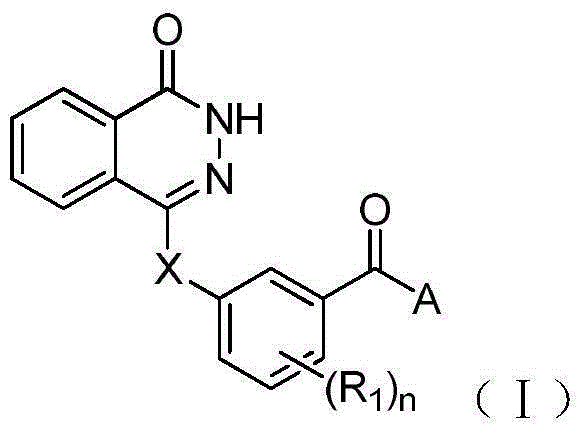 A class of phthalazinone derivatives and uses thereof