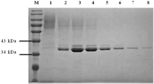 Transeliminase encoding gene and enzyme and preparation and application