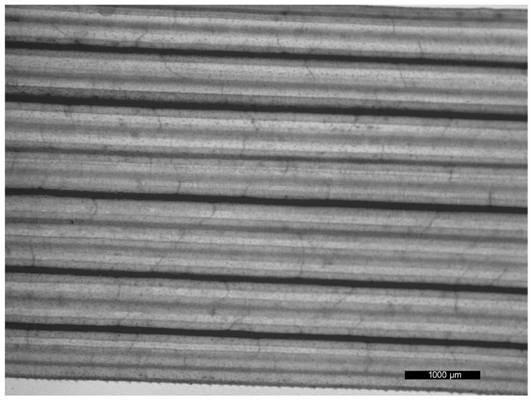 A method for preparing slices for observing turfgrass leaf vein network structure