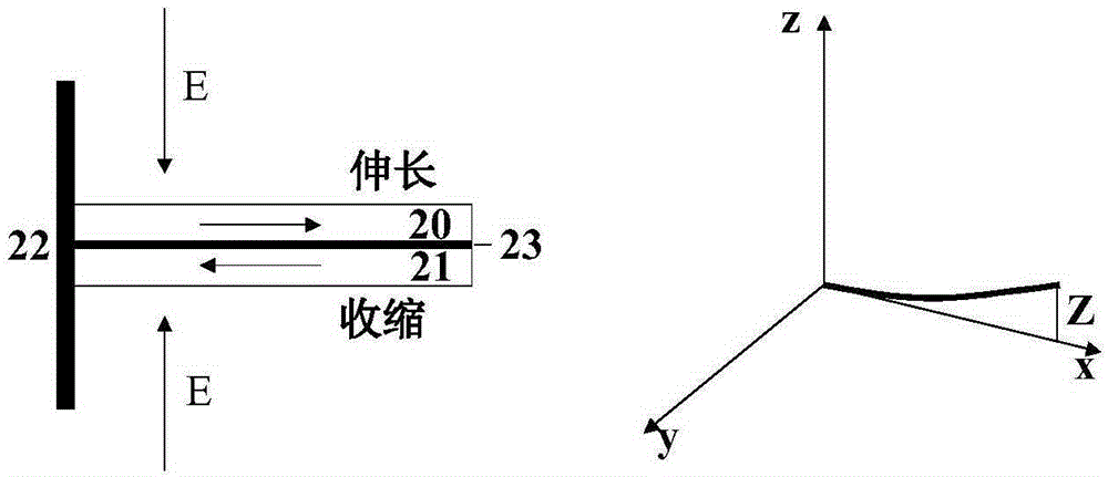 Laser scanning device and laser display system