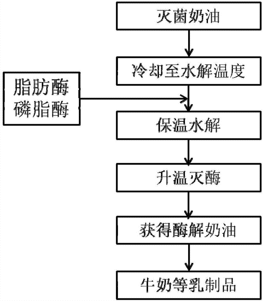Cream and milk fat product flavoured by two-enzyme method and preparation method thereof