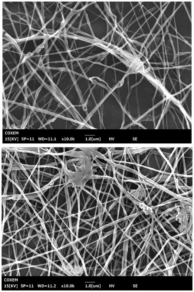 Ilex chinensis sims essential oil/lycium barbarum polysaccharides antibacterial nanofiber as well as preparation method and application thereof